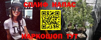 mdpv Беслан